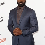 03032018_-_2018_Film_Independent_Spirit_Awards_011.jpg